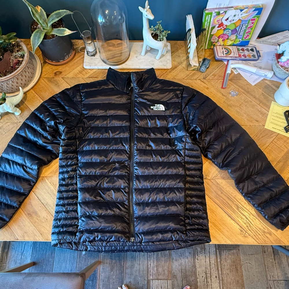North Face Men’s Quilted Down Jacket